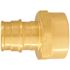 Apollo 3/4 in. Brass PEX-A Expansion Barb x 3/4 in. FNPT Female Adapter (10-Pack)