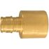 Apollo 1/2 in. Brass PEX-A Expansion Barb x 3/4 in. Reducing Female Sweat Adapter
