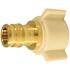 Apollo 1/2 in. Brass PEX-A Expansion Barb x 1/2 in. FNPT Female Swivel Adapter