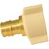 Apollo 1/2 in. Brass PEX-A Expansion Barb x 1/2 in. FNPT Female Swivel Adapter