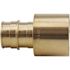 Apollo 3/4 in. Brass PEX-A Expansion Barb x 1 in. Reducing Female Sweat Adapter