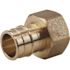 Apollo 1 in. Brass PEX-A Expansion Barb x 1 in. FNPT Female Adapter