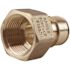 Apollo 1 in. Brass PEX-A Expansion Barb x 1 in. FNPT Female Adapter