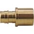 Apollo 3/4 in. Brass PEX-A Expansion Barb x 1 in. Male Sweat Adapter