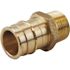 Apollo 3/4 in. Brass PEX-A Expansion Barb x 1/2 in. MNPT Male Adapter