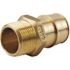 Apollo 3/4 in. Brass PEX-A Expansion Barb x 1/2 in. MNPT Male Adapter