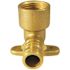 Apollo 1/2 in. Brass PEX-A Expansion Barb x 1/2 in. Female Pipe Thread Adapter 90-Degree Drop-Ear Elbow