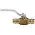 Apollo 3/4 in. Brass PEX-A Expansion Barb Ball Valve