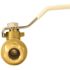 Apollo 1/2 in. Brass PEX-A Expansion Barb Ball Valve