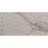 MSI Adella Viso Calacatta 12 in. x 24 in. Ceramic Matte Marble Look Wall Tile (14 sq. ft./Case)