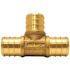 Apollo 3/4 in. Brass PEX-B Barb Tee Pro Pack (25 Pack)