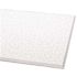 Armstrong CEILINGS Dune 2 ft. x 2 ft. Tegular Ceiling Tile (64 sq.ft./case)