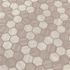 MSI Silva Oak 2 in. Hexagon 12 in. x 13 in. x 0.24 in. Glass Mesh-Mounted Mosaic Wall Tile (14.7 sq. ft./Case)