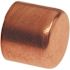 NIBCO 3/4 in. x 3/4 in. Copper Tube Cap Fitting Pro Pack (50-Pack)