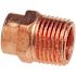 Everbilt 604 1/2 in. x 1/2 in. Wrot Copper Cup X MIP Adapter Pro Pack (25-Pack)