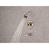 Delta Foundations Single-Handle 1-Spray Tub and Shower Faucet in Brushed Nickel (Valve Included)