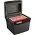 SentrySafe 0.66 cu. ft. Fireproof & Waterproof Safe File Box with Digital Lock