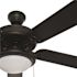 PRIVATE BRAND UNBRANDED Trice 52 in. LED Black Ceiling Fan with Light Kit
