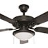 PRIVATE BRAND UNBRANDED Trice 52 in. LED Black Ceiling Fan with Light Kit