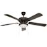 PRIVATE BRAND UNBRANDED Trice 52 in. LED Black Ceiling Fan with Light Kit