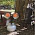 Mr. Heater Tank Top 30,000 BTU Radiant Propane Outdoor Space Heater (750 sq. ft. Heating Area)
