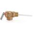 Wilkins 1 in. Brass Temperature and Pressure Relief Valve