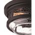 Globe Electric 2-Light Wolfe Bronze Outdoor Flush Mount
