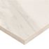 MSI Ader Tegal 24 in. x 24 in. Matte Porcelain Marble Look Floor and Wall Tile (128 sq. ft./Pallet)