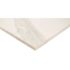 MSI Ader Tegal 24 in. x 24 in. Matte Porcelain Marble Look Floor and Wall Tile (128 sq. ft./Pallet)
