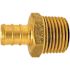 Apollo 1/2 in. Brass PEX-B Barb x Male Pipe Thread Adapter Pro Pack (25-Pack)