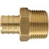 Apollo 3/4 in. Brass PEX-B Barb x Male Pipe Thread Adapter Pro Pack (25-Pack)