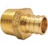 Apollo 3/4 in. Brass PEX-B Barb x Male Pipe Thread Adapter Pro Pack (25-Pack)