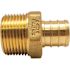 Apollo 3/4 in. Brass PEX-B Barb x Male Pipe Thread Adapter Pro Pack (25-Pack)