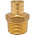 Apollo 3/4 in. Brass PEX-B Barb x Male Pipe Thread Adapter Pro Pack (25-Pack)