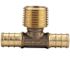 Apollo 1/2 in. Brass PEX-B Barb x 1/2 in. Male Pipe Thread Adapter Tee