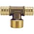 Apollo 3/4 in. Brass PEX-B Barb x 3/4 in. Male Pipe Thread Adapter Tee