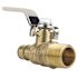 Apollo 1/2 in. Brass PEX-A Barb x 1/2 in. Male Pipe Thread Ball Valve
