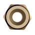 Apollo 1/2 in. Brass PEX-A Barb x 1/2 in. CPVC Straight Adapter