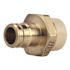 Apollo 1/2 in. Brass PEX-A Barb x 1/2 in. CPVC Straight Adapter