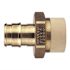 Apollo 1/2 in. Brass PEX-A Barb x 1/2 in. CPVC Straight Adapter