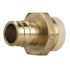 Apollo 3/4 in. Brass PEX-A Barb x 3/4 in. CPVC Straight Adapter