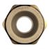Apollo 3/4 in. Brass PEX-A Barb x 3/4 in. CPVC Straight Adapter