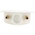 Apollo 1/2 in. Brass PEX-A Barb x 3/4 in. Male Hose Thread Washing Machine Outlet Box