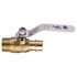 Apollo 3/4 in. Brass PEX-A Barb x 3/4 in. Male Pipe Thread Ball Valve