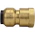 Tectite 1/2 in. Brass Push-To-Connect Female Pipe Thread Adapter Pro Pack (6-Pack)