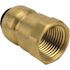 Tectite 1/2 in. Brass Push-To-Connect Female Pipe Thread Adapter Pro Pack (6-Pack)