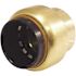 Tectite 3/4 in. Brass Push-To-Connect Cap Pro Pack (6-Pack)