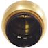 Tectite 3/4 in. Brass Push-To-Connect Cap Pro Pack (6-Pack)