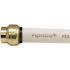 Tectite 3/4 in. Brass Push-To-Connect Cap Pro Pack (6-Pack)