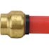 Tectite 1/2 in. Brass Push-To-Connect Cap Pro Pack (6-Pack)